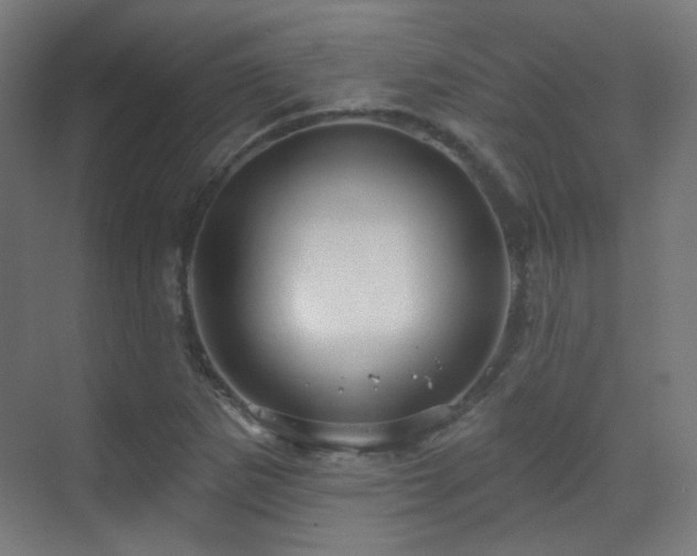 X0000070201265200605261217