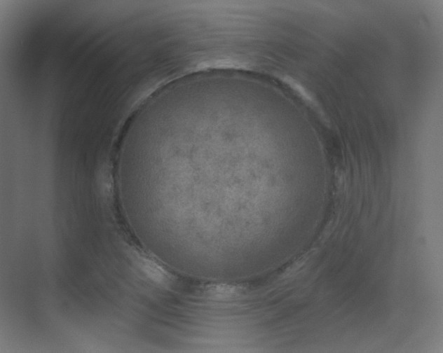 X0000070201266200605261217