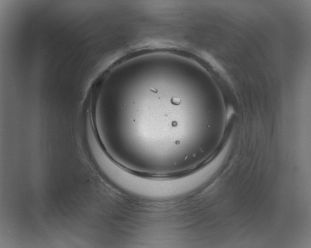 X0000070201269200605261217