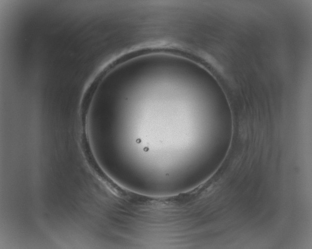 X0000070201270200605261217