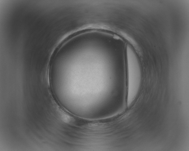 X0000070201272200605261216