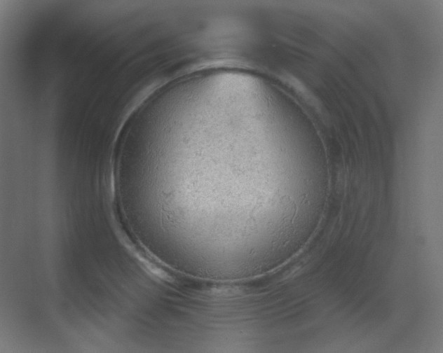 X0000070201274200605261216