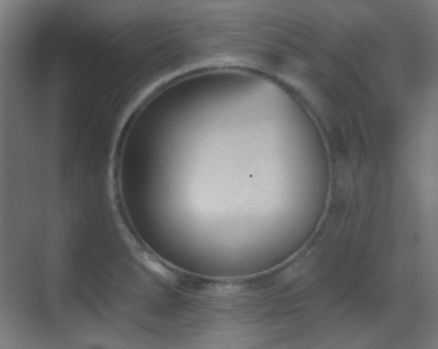 X0000070201278200605261216