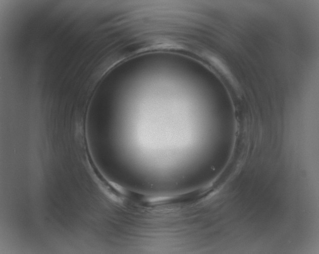 X0000070201281200605261216