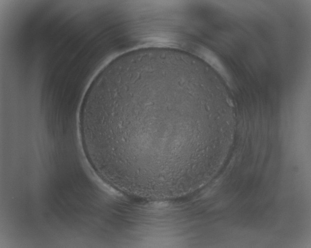 X0000070201283200605261216