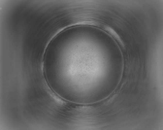 X0000070201284200605261216