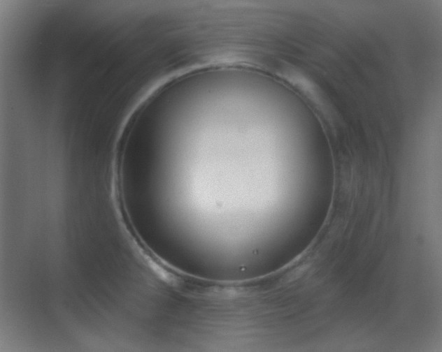 X0000070201286200605261216