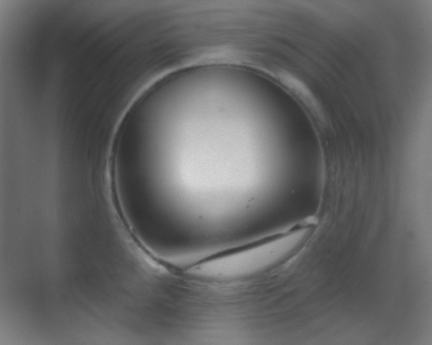 X0000070201288200605261216