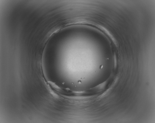X0000070201289200605261216