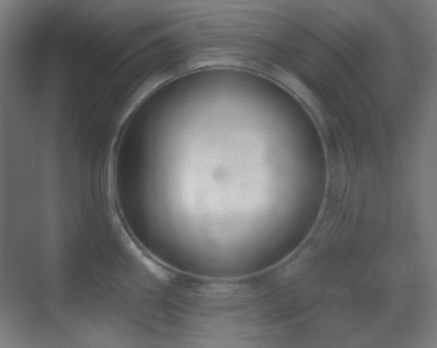 X0000070201290200605261216