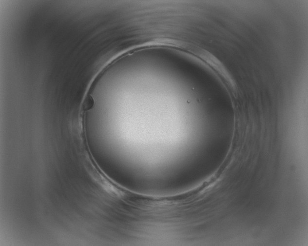 X0000070201292200605261216