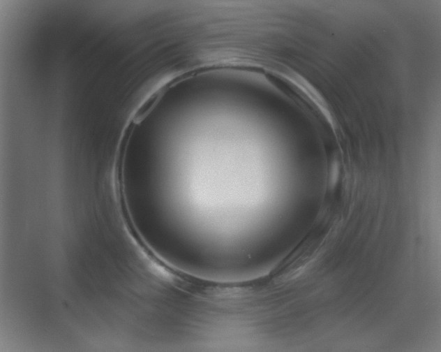 X0000070201293200605261216