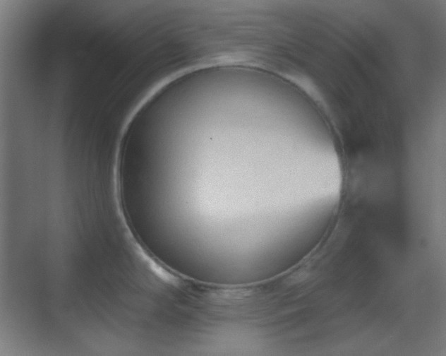 X0000070201294200605261216