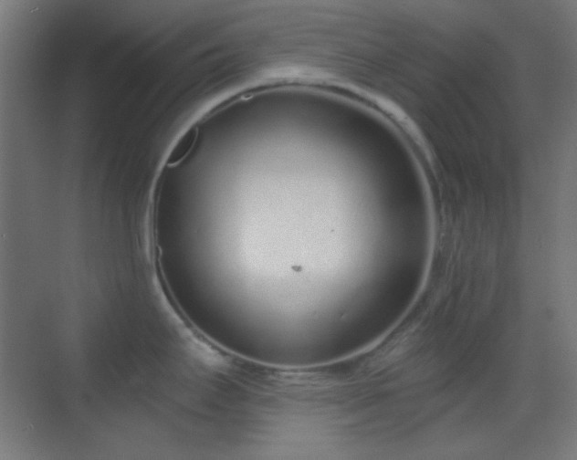 X0000070201295200605261216