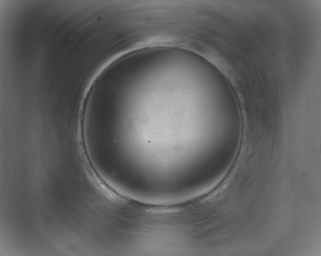 X0000070201296200605261216
