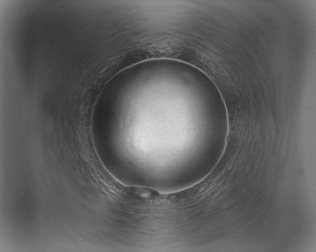 X0000070201297200605261215