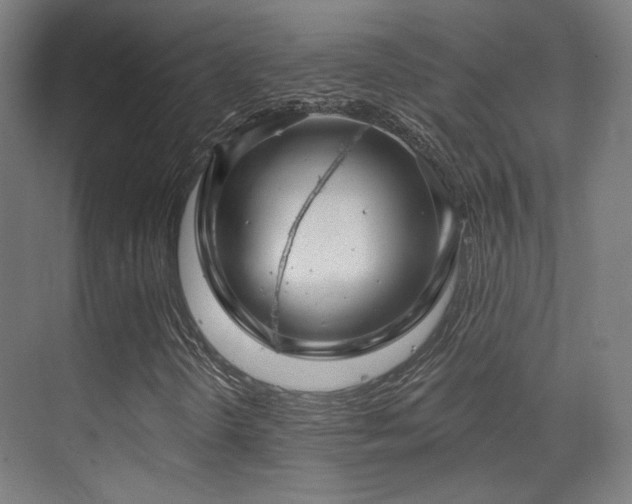 X0000070201298200605261215
