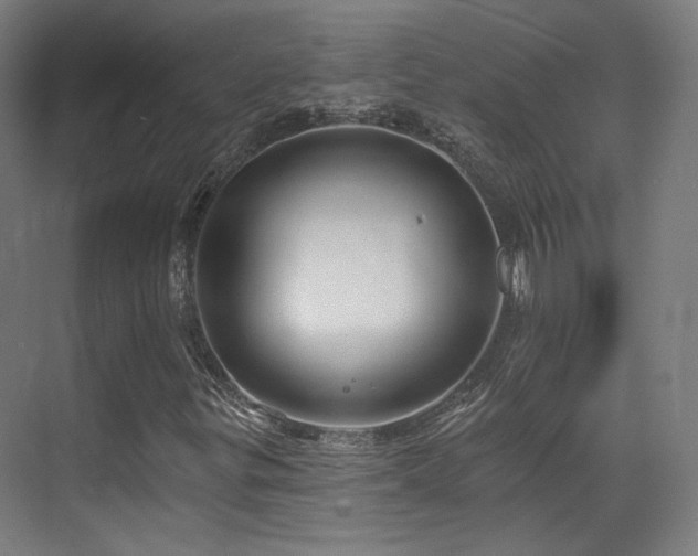 X0000070201299200605261215