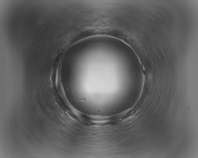 X0000070201300200605261215