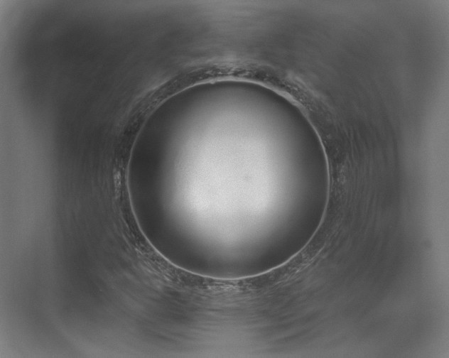 X0000070201302200605261215