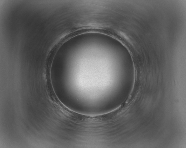 X0000070201307200605261215