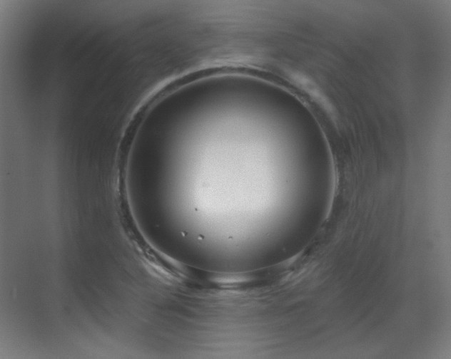 X0000070201316200605261216