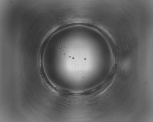 X0000070201317200605261216