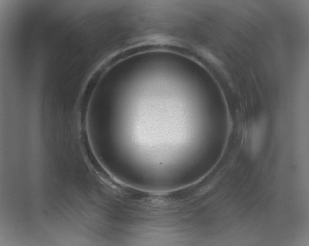 X0000070201318200605261216