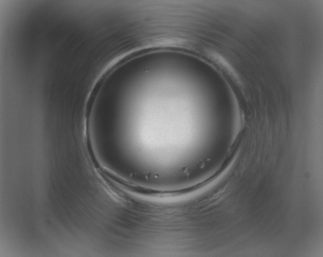 X0000070201324200605261216