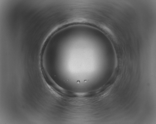 X0000070201326200605261216