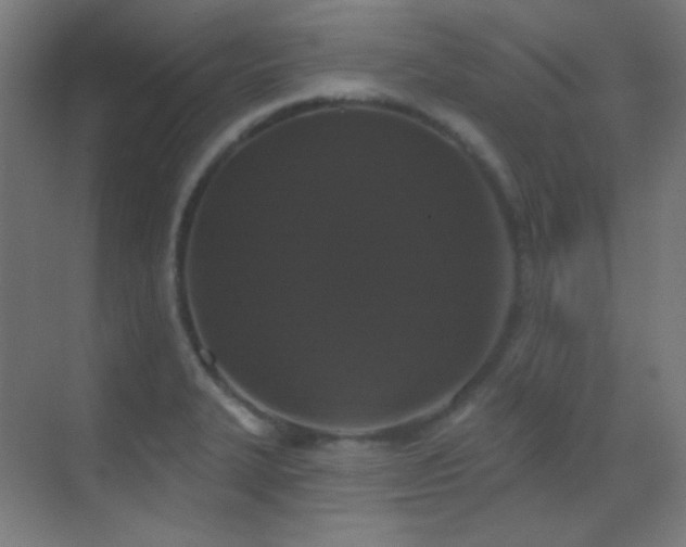 X0000070201327200605261216