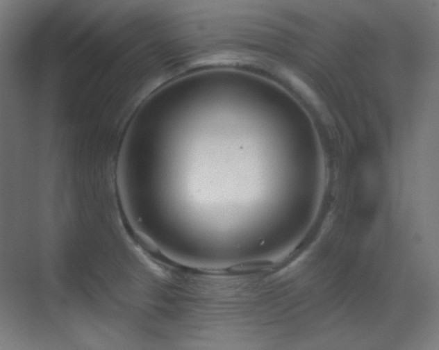 X0000070201329200605261216