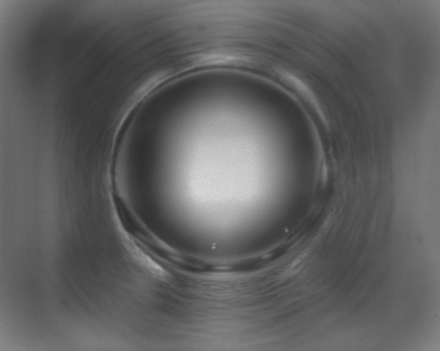 X0000070201330200605261216