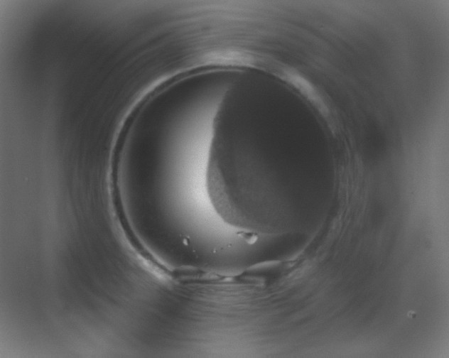 X0000070201331200605261216