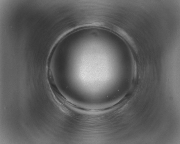 X0000070201332200605261216