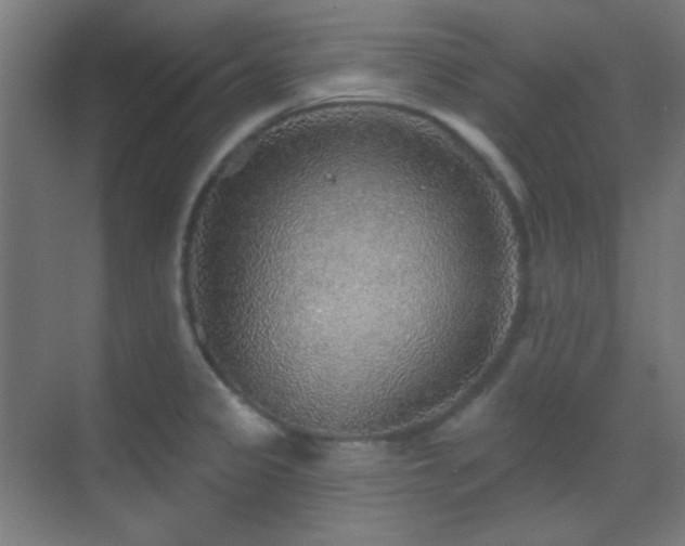 X0000070201333200605261216
