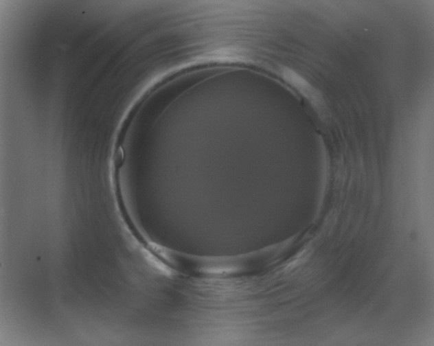 X0000070201334200605261216