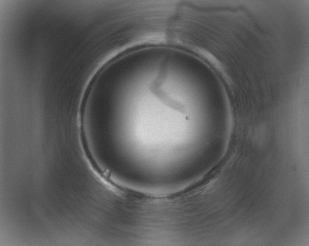 X0000070201335200605261216