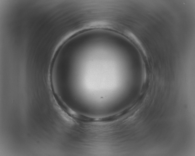 X0000070201336200605261216