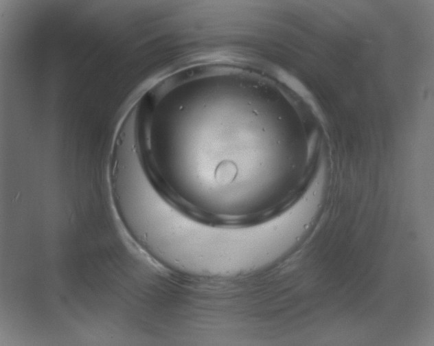 X0000070201338200605261216