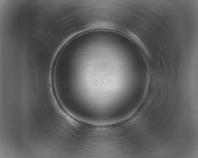 X0000070201339200605261216