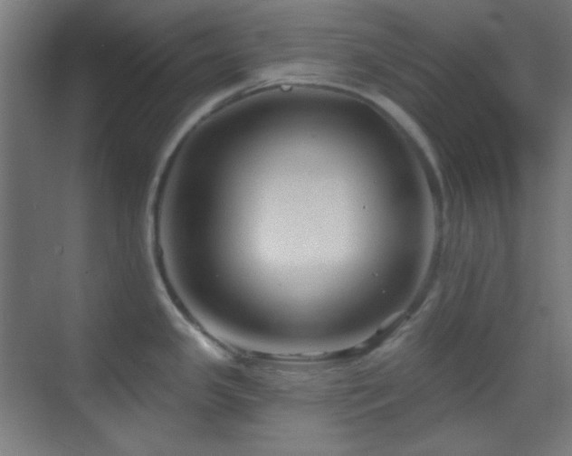 X0000070201341200605261216