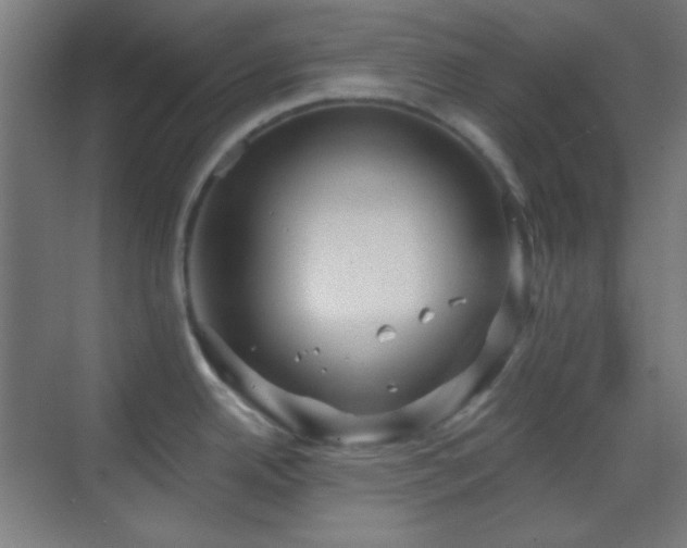 X0000070201342200605261216