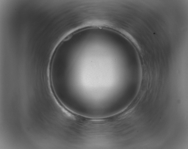 X0000070201343200605261216