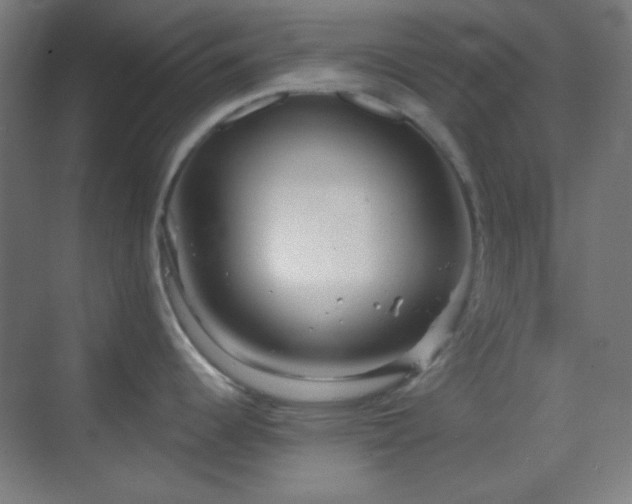 X0000070201344200605261216