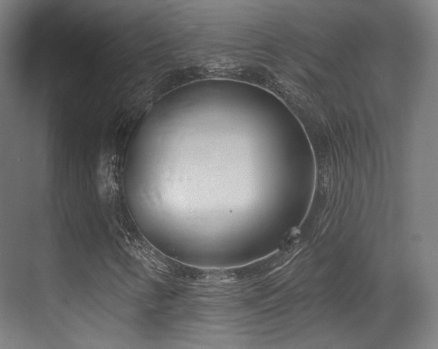 X0000070201346200605261215