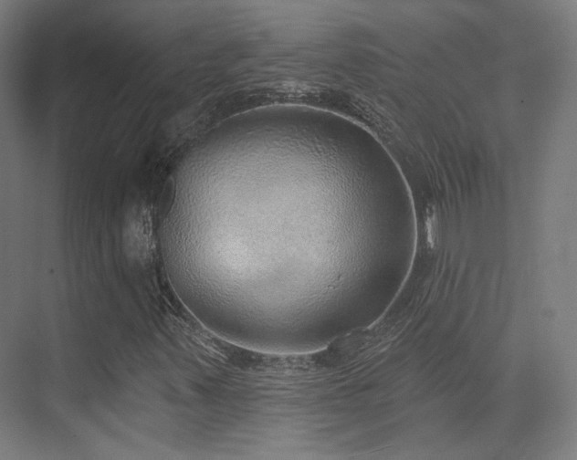 X0000070201347200605261215