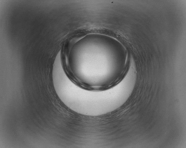 X0000070201348200605261215