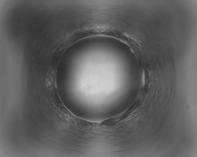 X0000070201349200605261215