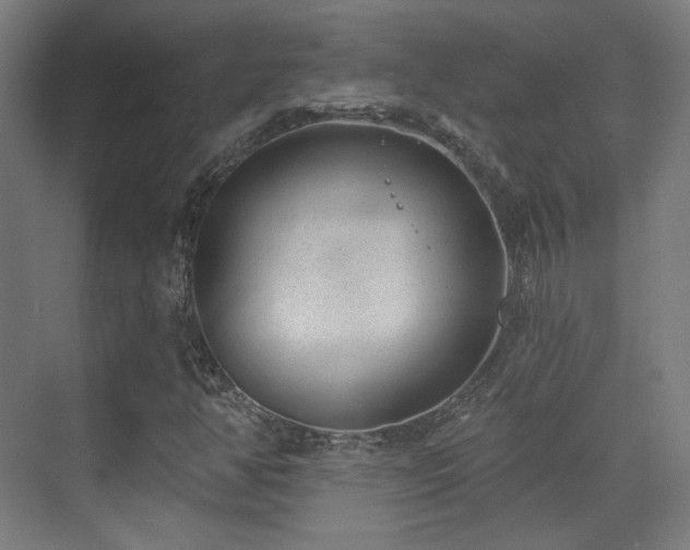 X0000070201350200605261215